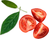 Pizzan