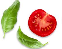 Pizzan
