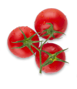 Pizzan